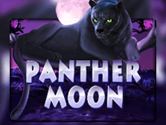 Panther Moon thumbnail